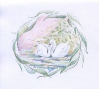 Swan Love
